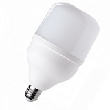 FL-LED T100 30W E27 6400К FOTON LIGHTING светодиодная лампа
